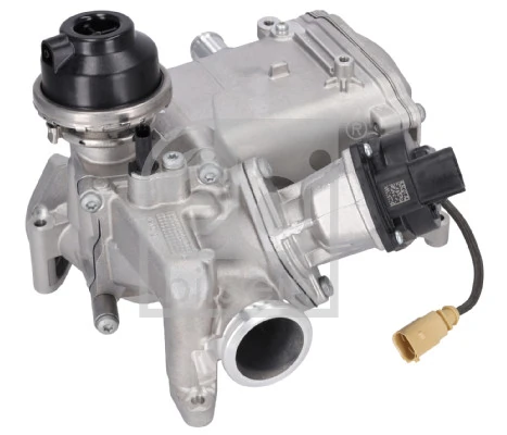 EGR Module